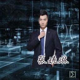 张婉琳
